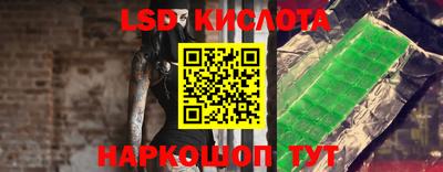 PSILOCYBIN Нальчик