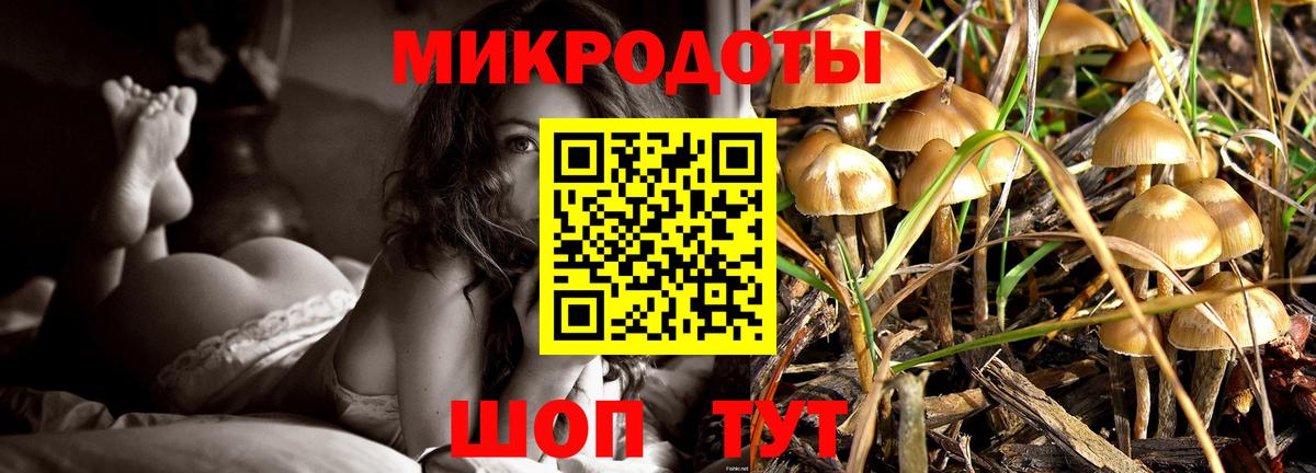 Галлюциногенные грибы прущие грибы  Вход с VPN  наркошоп  Троицк 